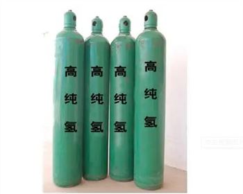 熱式質(zhì)量流量計(jì)在高純氣體流量測(cè)量中的應(yīng)用